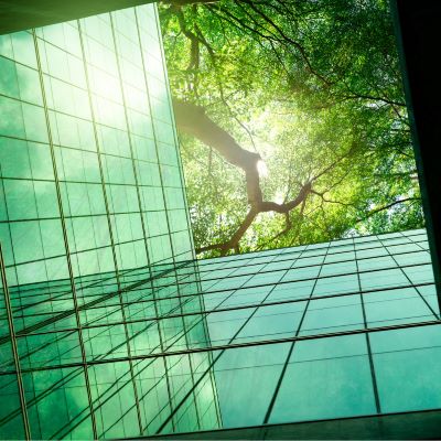 nathers image energy building with trees and glass