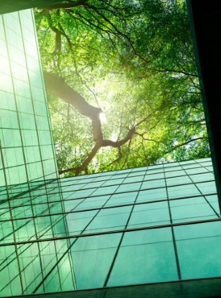 basix image showing trees and skyscrappers by glass