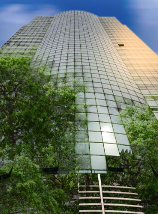 Section J report image showing a skyscrapper surrounded by trees
